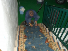 Limpieza alfombra 2