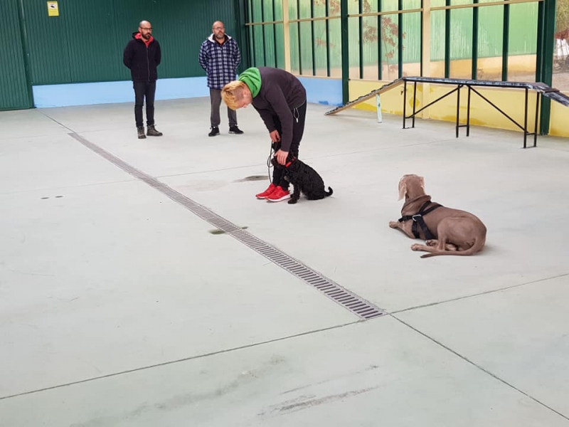 Escuela de entrenamiento y formacin Nar