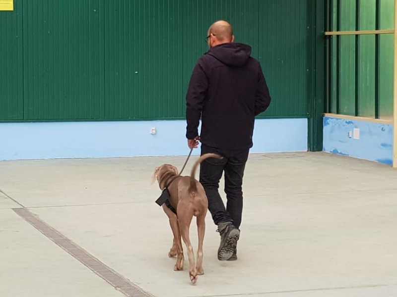 Escuela de entrenamiento y formacin Nar