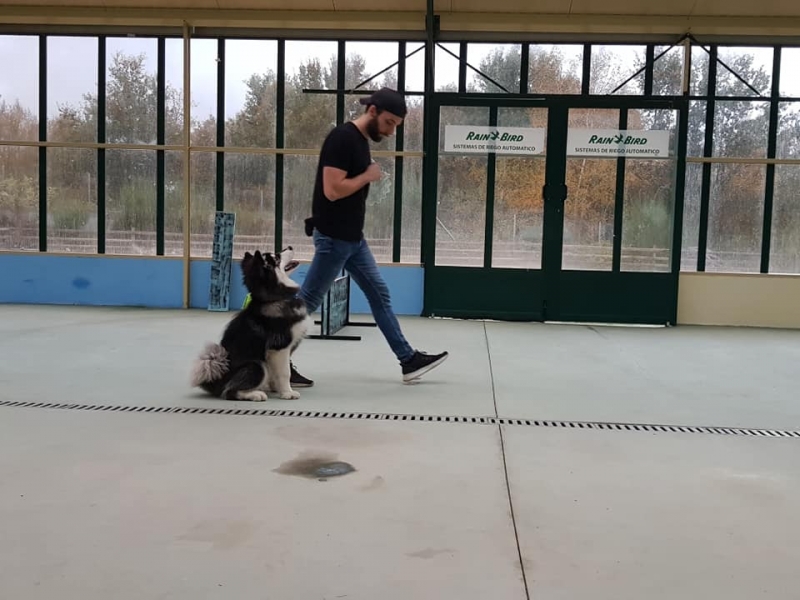 Escuela de entrenamiento y formacin Nar