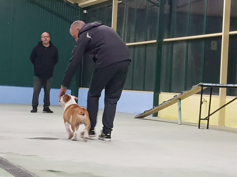 Escuela de entrenamiento y formacin Nar