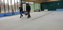 Foto 8 criadero de perros en Ourense - Escuela de Entrenamiento y Formacion Naru