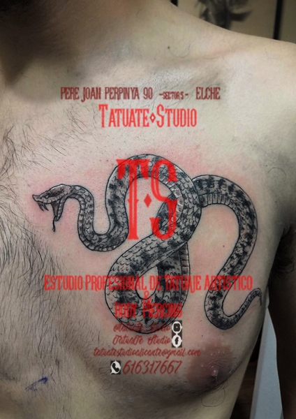 tatuajes en elche,damadeelche,estudiosdetattooelche,elchetattoo,tattooelche,fabinails