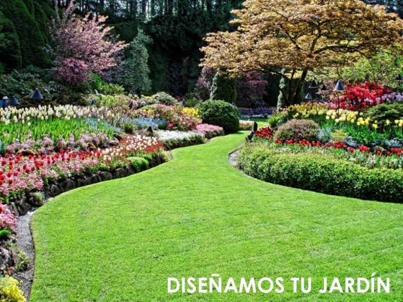 Diseo de jardines Elche