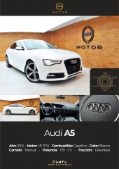 MOTOR 88 - Foto 5