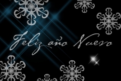 El equipo de Laser & Beauty os deseamos un próspero y feliz año 2010