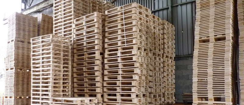 Fbrica de palets de madera en Bizkaia