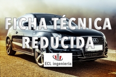 Fichas tecnica reducida para vehiculos, para pasar la itv