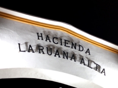 Foto 197 salones de boda en Sevilla - Hacienda la Ruana Alta