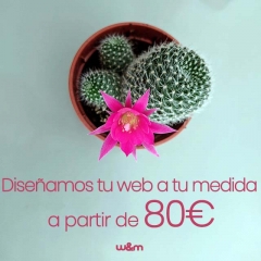Diseno web tarragona a partir de 80eur