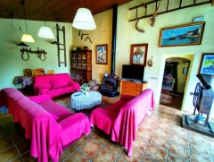 Salon con chimenea de can micos