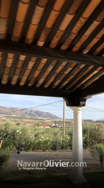 Porche de madera con teja rabe vista sobre columnas premoldeadas de cemento