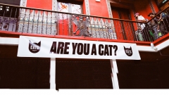 Interior de cats hostel madrid sol