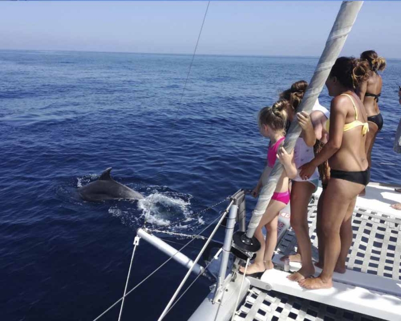 Avistamiento de delfines en Málaga