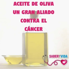 Aceite de oliva estudios y cancer