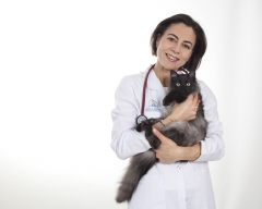 Veterinario especialista en gatos. Sala especial felina. Clnica amable con los gatos.