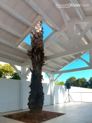 Cenador de madera a 2 aguas de madera y tronco para terraza con abertura para palmeras