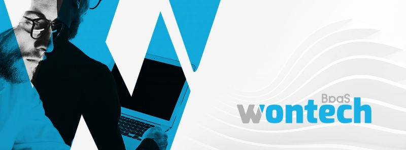 Wontech Consultores Tecnologicos 