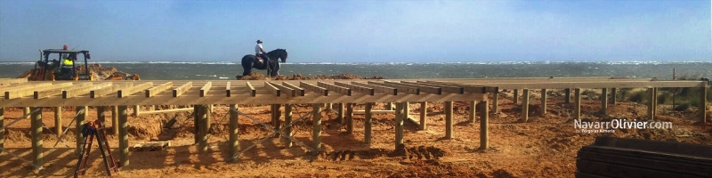 Forjado de madera autoclave sobre pilotes cilindricos hincados en a arena