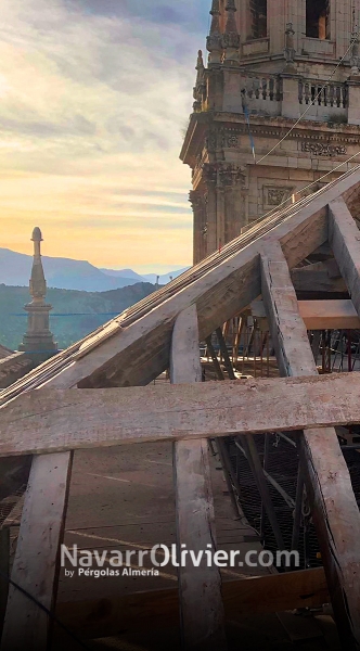 Rehabilitación de cubierta de la Catedral de Jaén