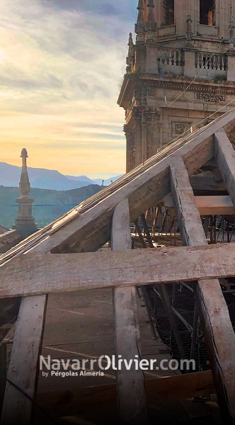 Rehabilitacin de cubierta de la Catedral de Jan