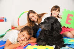 Terapia asistida con perros - entrelazadogs