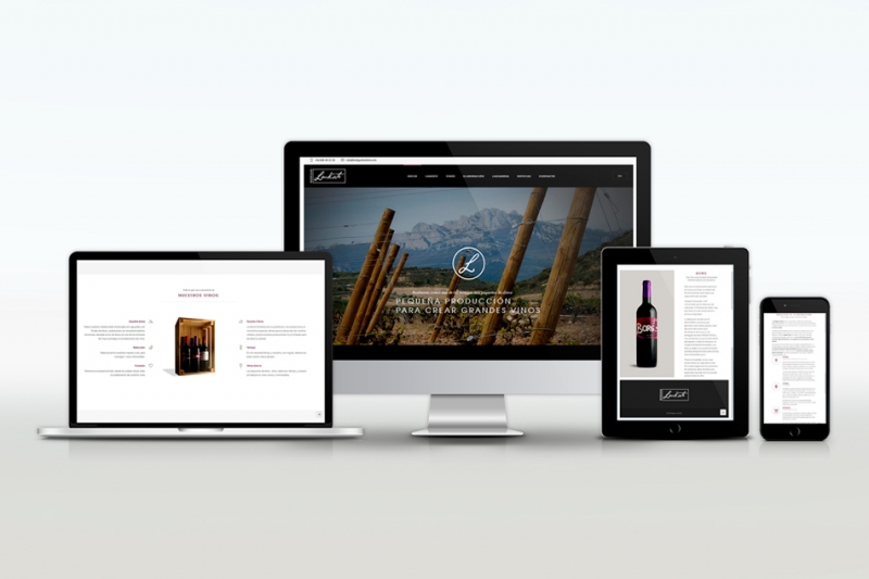 Diseño y desarrollo de la web de Bodegas Laukote de Laguardia Rioja Alavesa.