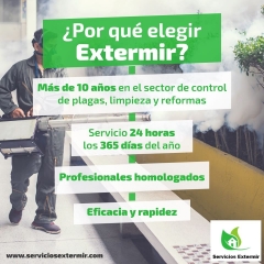 Control de plagas madrid