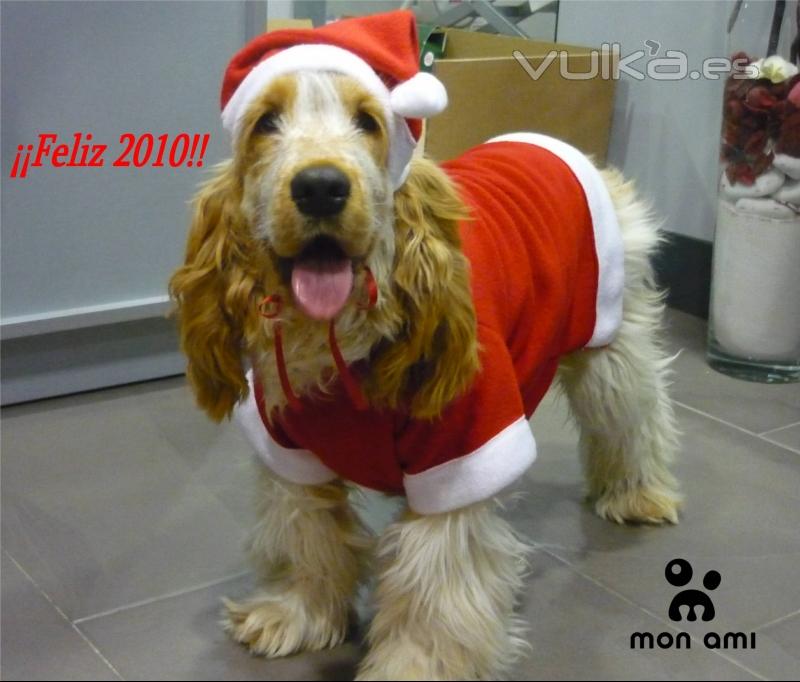 ¡¡Feliz  Año 2010!!