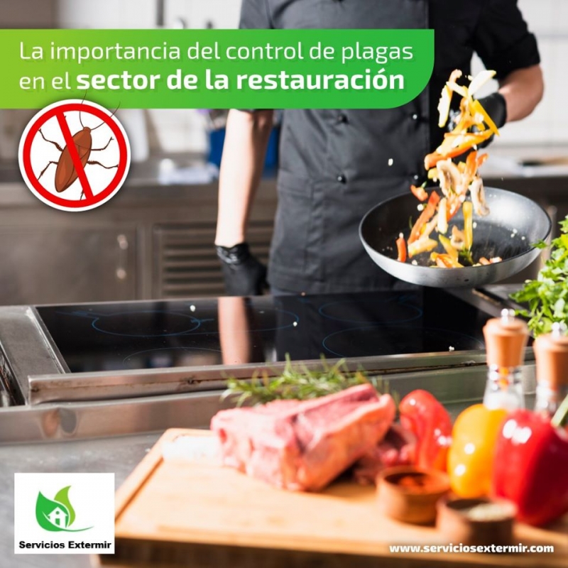 Control de plagas en Restaurantes en Madrid