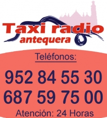 Foto 313 alquiler con conductor - Antequera Taxi Radio