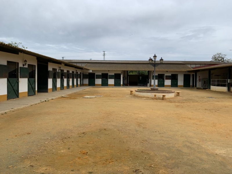 Patio de la escuela de equitacin Al Andalus