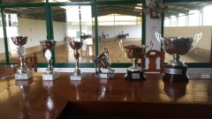 Trofeos co curso