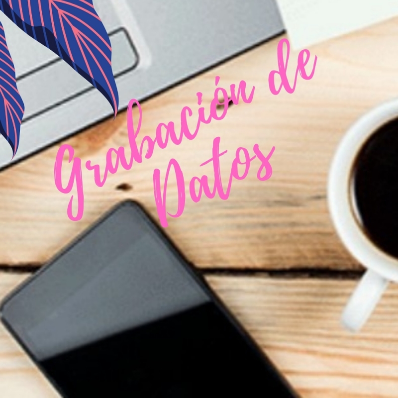 Tarea de grabacin, digitalizacin y actualizacin de base de datos