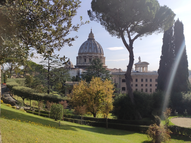 Vista - Basílica de San Pedro desde Jardines Vaticanos