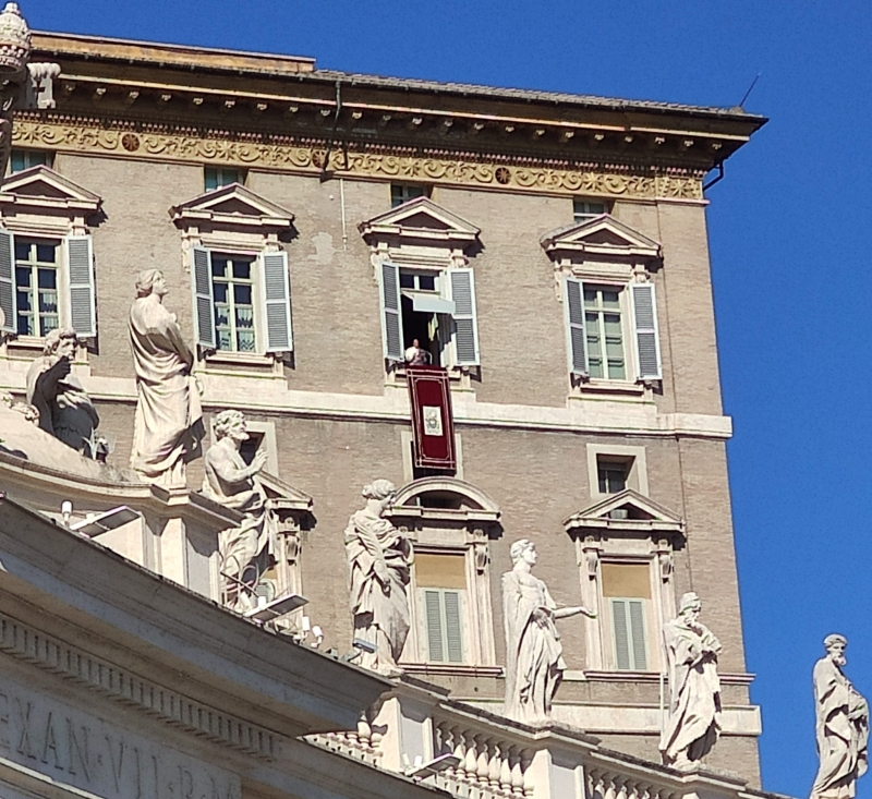 Angelus SS Papa Francisco - Plaza de S. Pedro