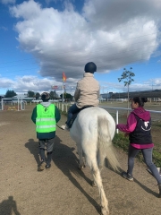 Asociacion arrenatura - terapias asistidas con animales - foto 24