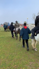 Asociacion arrenatura - terapias asistidas con animales - foto 18