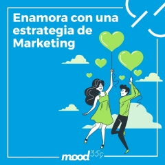 Empresa de marketing granada