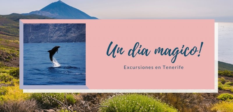 Vive y disfruta  tu estancia en Tenerife con esta excursión de Un día Mágico! donde podrás disfrutar