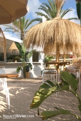 Sombrillas de carritx natural para beach club en francia
