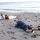 fotografo de bodas en la playa de Almería