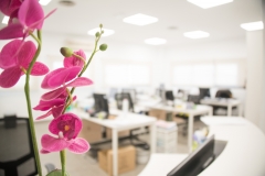 Recepción y oficinas