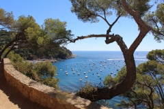 Barcelona holiday - foto 9