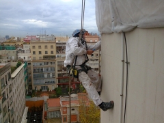 Pest control  lateristesta - foto 9