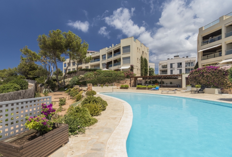 Piscina - Apartamento en San Antonio, Ibiza - Engel & Völkers Ibiza - Inmobiliaria en Ibiza