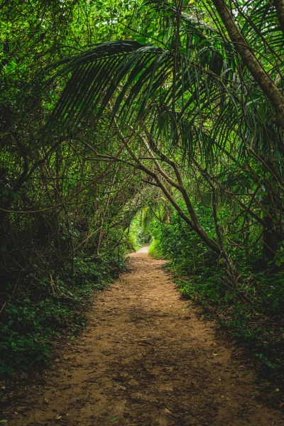 Trekking por la selva de Costa Rica , viaje con EnolaTravel