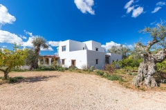 Jardin - finca en san lorenzo, san juan, ibiza - engel & volkers ibiza - inmobiliaria en ibiza