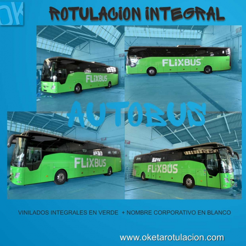 ROTULACION VEHICULAR