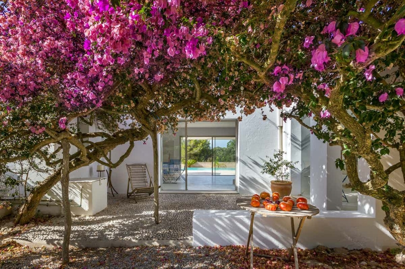 Jardín - Villa en Talamanca, Jesús, Ibiza - Engel & Völkers Ibiza - Inmobiliaria en Ibiza